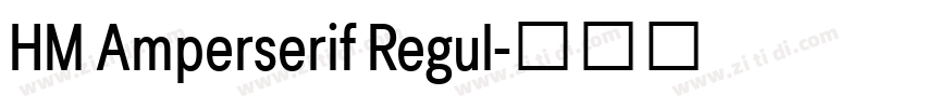HM Amperserif Regul字体转换